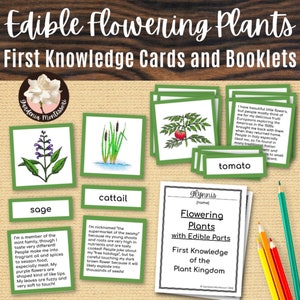 Plantas comestibles Ciencias Tarjetas de 3 partes Materiales Montessori - Tipos de plantas con flores Tarjetas científicas Folleto Montessori - Primaria Montessori