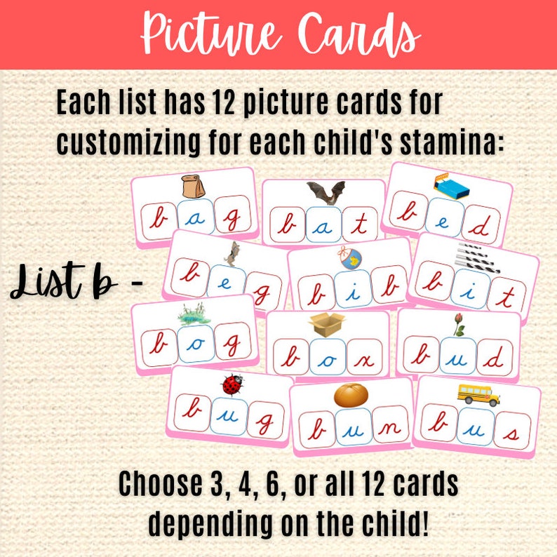 Montessori Cursive CVC Words Pink Series Cards: Elementary Moveable ...