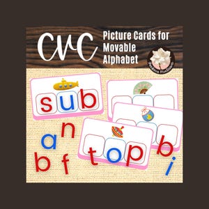 CVC Words Montessori Elementary Moveable Alphabet Printables: Pink Series Reading Materials