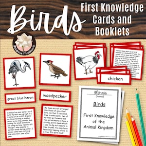 Oiseaux Montessori Cartes en 3 parties Livret Montessori - Animal Kingdom Cartes de science Montessori Matériel Montessori Oiseaux de l'élémentaire Montessori