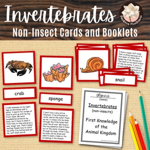 Cartes de sciences sur les invertébrés - Cartes sur les invertébrés du règne animal de l'élémentaire Montessori Matériaux Montessori Cartes de sciences Montessori en 3 parties