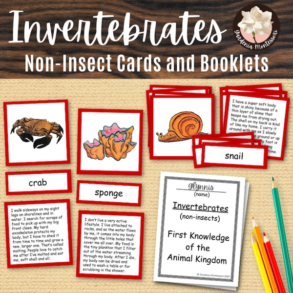 Invertebrate Cards and Printable Booklet - Animal Kingdom Montessori Science Cards - Montessori Elementary Invertebrates Teaching Printables