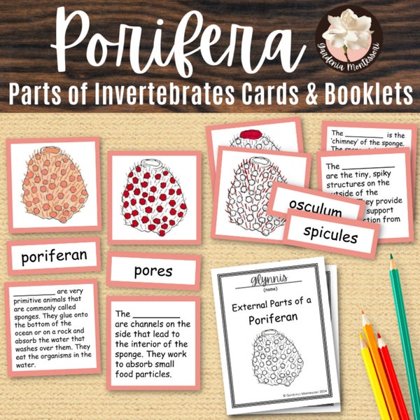 Parts of Sponge Invertebrate Cards Printable Booklet Porifera Montessori Science Cards Montessori Elementary Invertebrates Vocabulary Cards