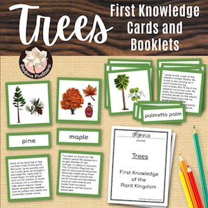 Cartes scientifiques de l'unité Arbres Montessori - Arbres à feuilles persistantes Arbres à feuilles caduques Règne végétal Arbres élémentaires Montessori Science Montessori