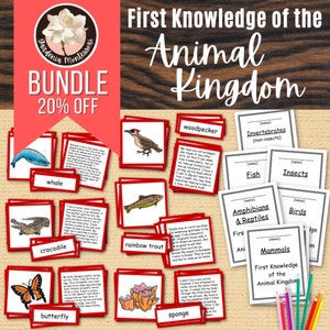 Cartes de science Montessori Animal Kingdom Matériel Montessori Carte de science Montessori en 3 parties Carte Montessori de tri animalier élémentaire