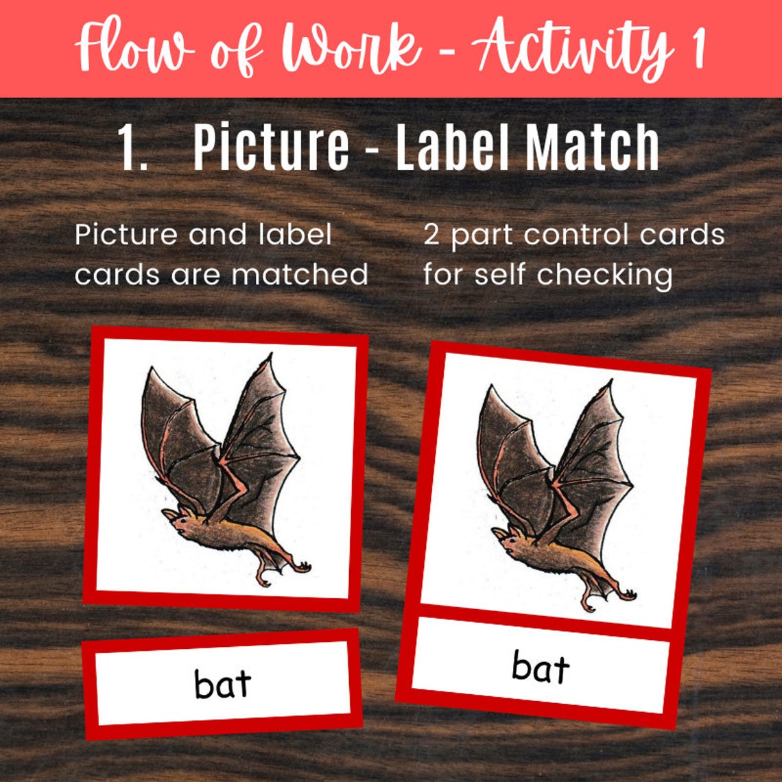 Montessori Mammals Printables Mammal Cards Printable Booklet Montessori ...