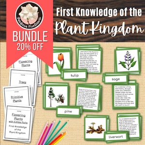 Montessori Plant Kingdom Materiales Montessori - Plantas de primaria Montessori Recursos didácticos Tarjetas de ciencias Montessori Folleto Montessori