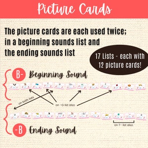 Montessori Cursive CVC Words Pink Series Cards: Elementary Moveable ...