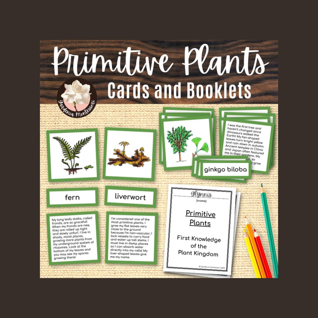 Montessori Botany Printables: Early Plant Science Cards for Elementary ...