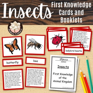 Livret imprimable Insectes Montessori en 3 parties - Cartes scientifiques Montessori pour l'élémentaire Animal Kingdom - Insectes Matériel Montessori