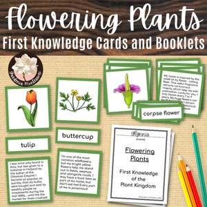 Plantas con flores Materiales Montessori - Tarjetas de ciencias Montessori Tarjetas de 3 partes del Reino de las plantas - Tarjetas Montessori de flores primarias Montessori