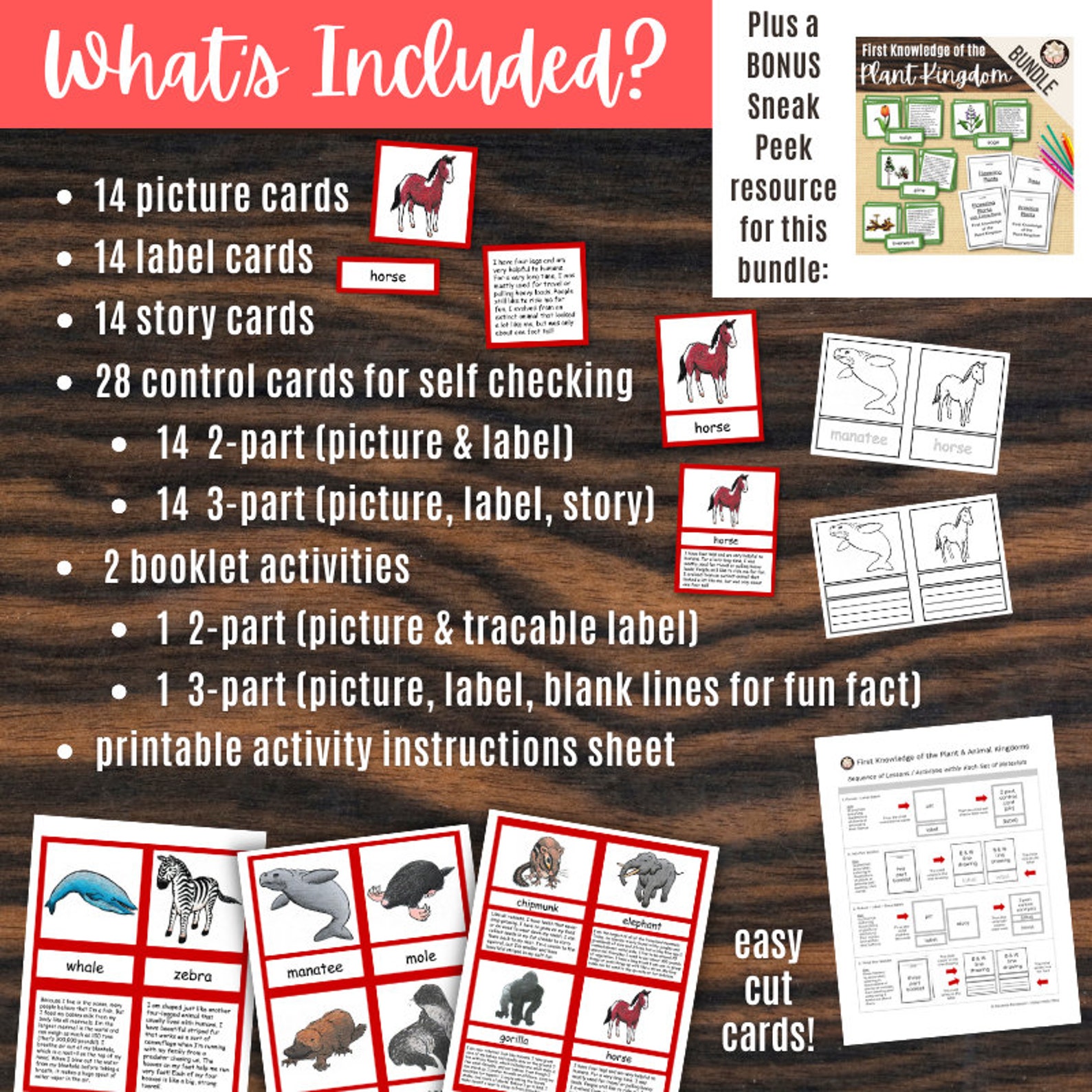 Montessori Mammals Printables Mammal Cards Printable Booklet Montessori ...