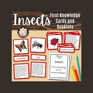 Montessori Insects 3-Part Cards: Bug Printable Booklets for Elementary Science & Animal Kingdom Learning