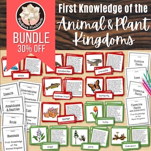 Cartões científicos do reino animal do reino vegetal Materiais Montessori - Montessori Elementar Ciência Montessori Cartões de 3 partes - Biologia Montessori