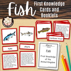 Actividades de peces Montessori - Tarjetas de 3 partes de peces de primaria Montessori Folleto Montessori - Materiales Montessori Tarjetas de ciencias del Reino Animal