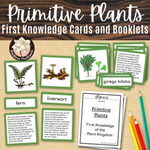 Les premières plantes à imprimer Botanique Montessori Cartes scientifiques Montessori Matériaux Montessori Plantes du règne végétal Montessori Plantes vasculaires