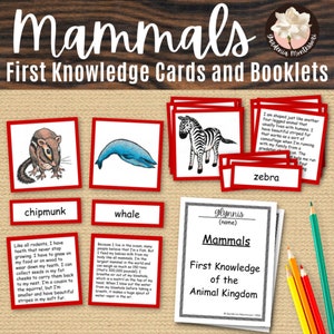 Animal Kingdom Montessori Materialien 3-teilige Karten