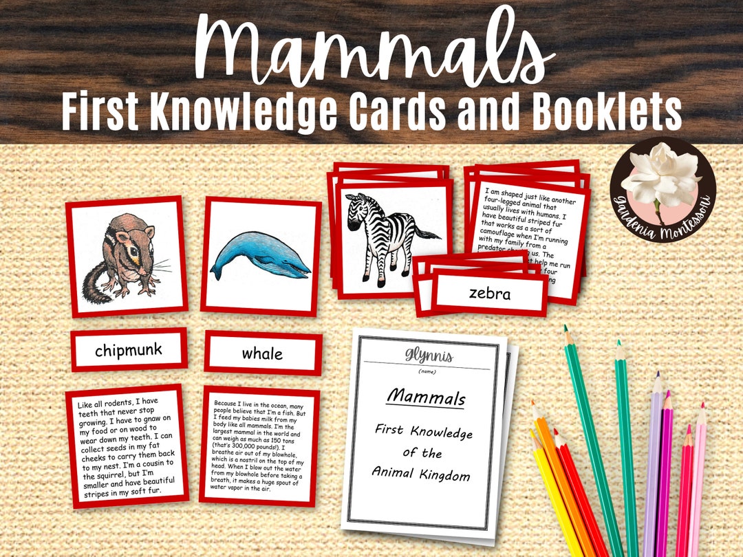 Mammal Printables 3 Part Cards Montessori Animal Kingdom - Etsy