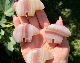 Watermelon Calcite Mini Bears | Crystal Bear Carvings