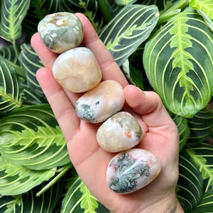 May include: Five smooth, polished green, white, and pink agate stones. The stones are tumbled and have a natural, organic shape.