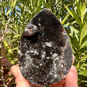 Druzy Septarian Dragon Egg - Black Druzy Geode - Quartz Inclusions - Stunning Quality