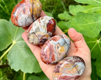 Large Top Quality Druzy Mexican Crazy Lace Agate Palmstone. Lace