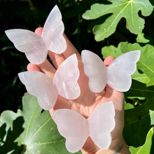 May include: Five pale pink butterfly-shaped crystals are displayed against a backdrop of green leaves. The butterflies are carved from a translucent stone, with visible veining. The wings are spread, and the overall effect is delicate and natural.