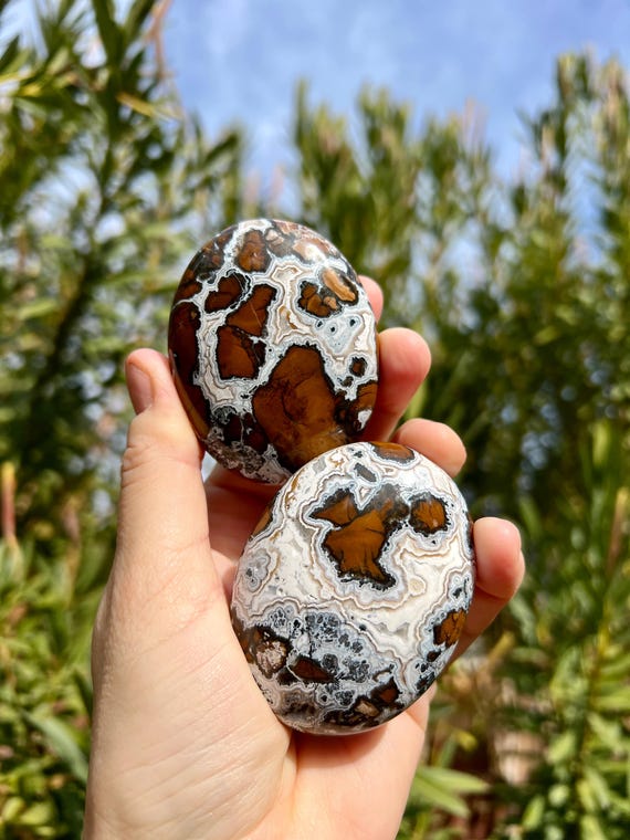 Brecciated Jasper Palm Stones | Druzy Brecciated Agate Pocket