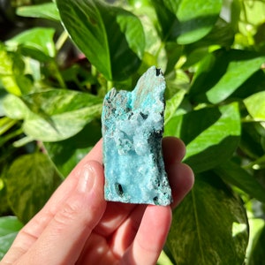 Sugar Quartz on Chrysocolla with Malachite Raw Specimen from Congo