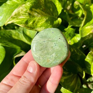 May include: A smooth, oval-shaped green stone, held in a hand, against a backdrop of lush green foliage. The stone has a mottled appearance with subtle variations in color and texture, suggesting a natural origin.