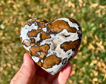 希少　♡Mookaite Jasper　ムーカイト♡　風景画　枝葉　2個セット 濃い赤と辛子色のコンビネーションが美しい！西オーストラリア