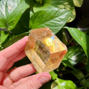 Cubo de rombo de calcita de miel / Inclusiones arcoíris / Calcita de miel óptica / Calcita de miel cruda / Calcita de miel cúbica