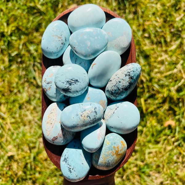 SELTEN Madagaskar Rotkehlchen Blau Türkis | Türkis Taschenstein | Türkisfarbene Palmsteine