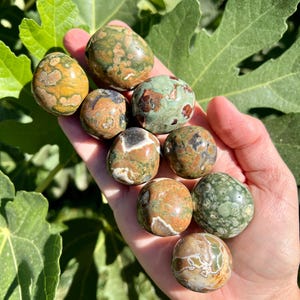 Rainforest Jasper Rhyolite Tumbled Stone | Rainforest Jasper Pocket Stones