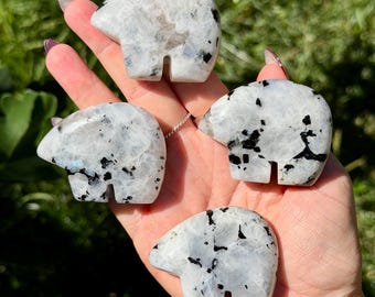 Rainbow Moonstone Mini Bears | Crystal Bear Carving