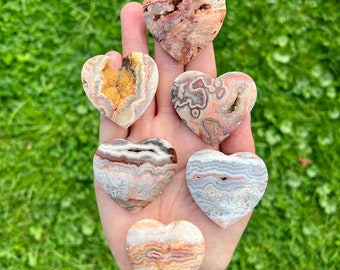Crazy Lace Agate Crystal Dragon Head 526g - 4 3/4 Inch Druzy Crazy