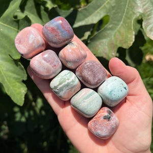Può includere: Una mano tiene in mano una collezione di pietre burattate in vari colori, tra cui rosa, verde e blu. Le pietre hanno una forma liscia e arrotondata e sono esposte su uno sfondo di foglie verdi. Le pietre sono un prodotto naturale.