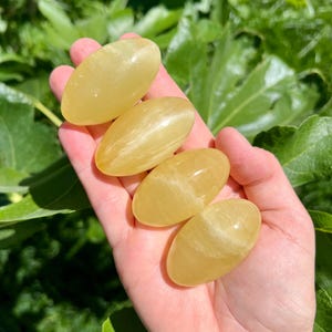 May include: Four yellow calcite tumbled stones, each with a smooth, oval shape. The stones are arranged in a hand, with the largest stone at the top and the smallest stone at the bottom.