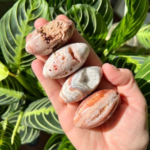 Druzy Crazy Lace Agate Shiva Palms from Indonesia - Polished (One Piece)