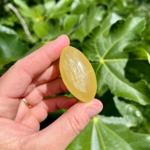 May include: A smooth, oval-shaped yellow gemstone with a translucent appearance. The gemstone is held in a hand against a green leafy background.