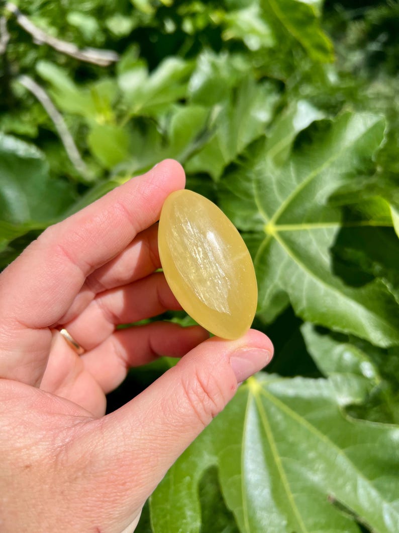 May include: A smooth, oval-shaped yellow gemstone with a translucent appearance. The gemstone is held in a hand against a green leafy background.