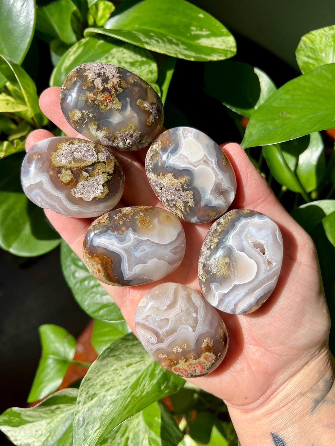 Scenic Moss Agate Palm Stones | Ternate Moss Agate | Garden Moss Agate ...