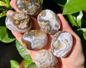 Scenic Moss Agate Palm Stones | Ternate Moss Agate | Garden Moss Agate