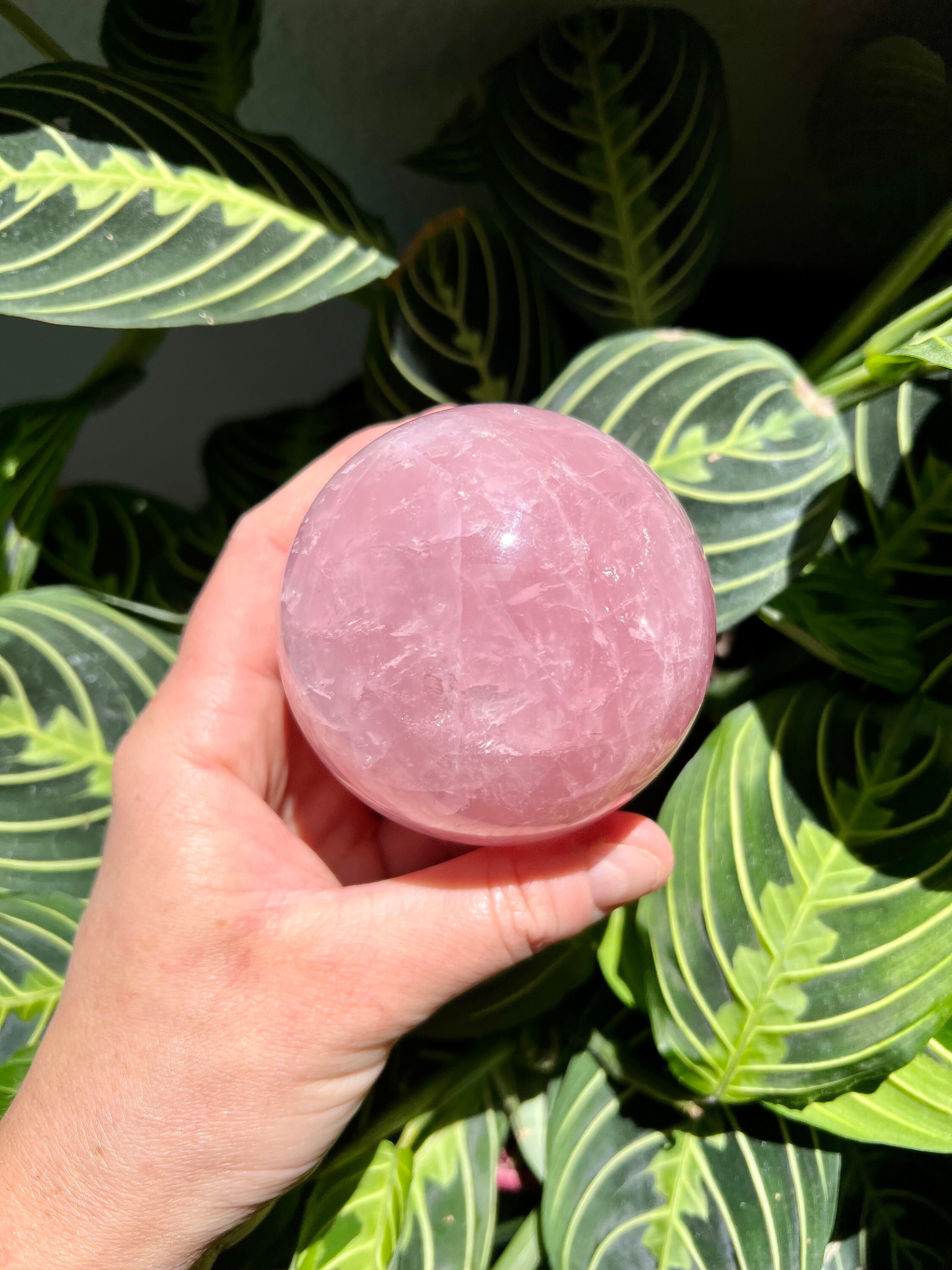 大きなジェミースターローズクォーツ球とゴールデンヒーラー