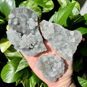Black Botryoidal Chalcedony Specimens | Raw Druzy  Black Chalcedony (You choose)