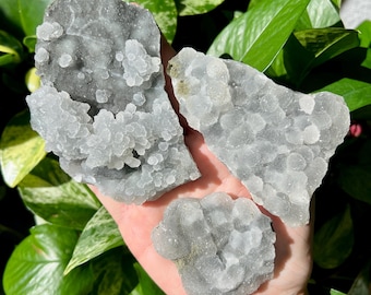 Black Botryoidal Chalcedony Specimens | Raw Druzy  Black Chalcedony (You choose)