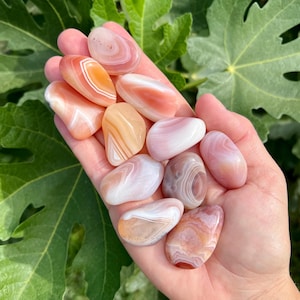 Apricot Agate Tumbled Stones | Apricot Agate Pocket Stones