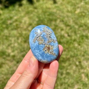 May include: A polished, oval-shaped blue opal stone with brown and tan patterns. The gemstone is held in a hand against a backdrop of green grass and sunlight. The stone's surface has a smooth, glossy finish.