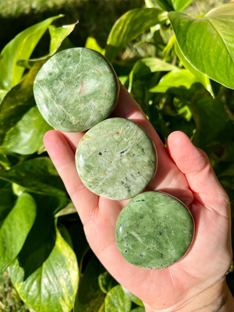 May include: Three round, polished green stones with natural veining and subtle color variations are held in a hand. The stones have a smooth, flat surface and a slightly glossy finish. The background features green foliage.