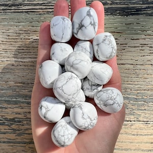 Howlite Tumbled Stones - Polished (One Piece)